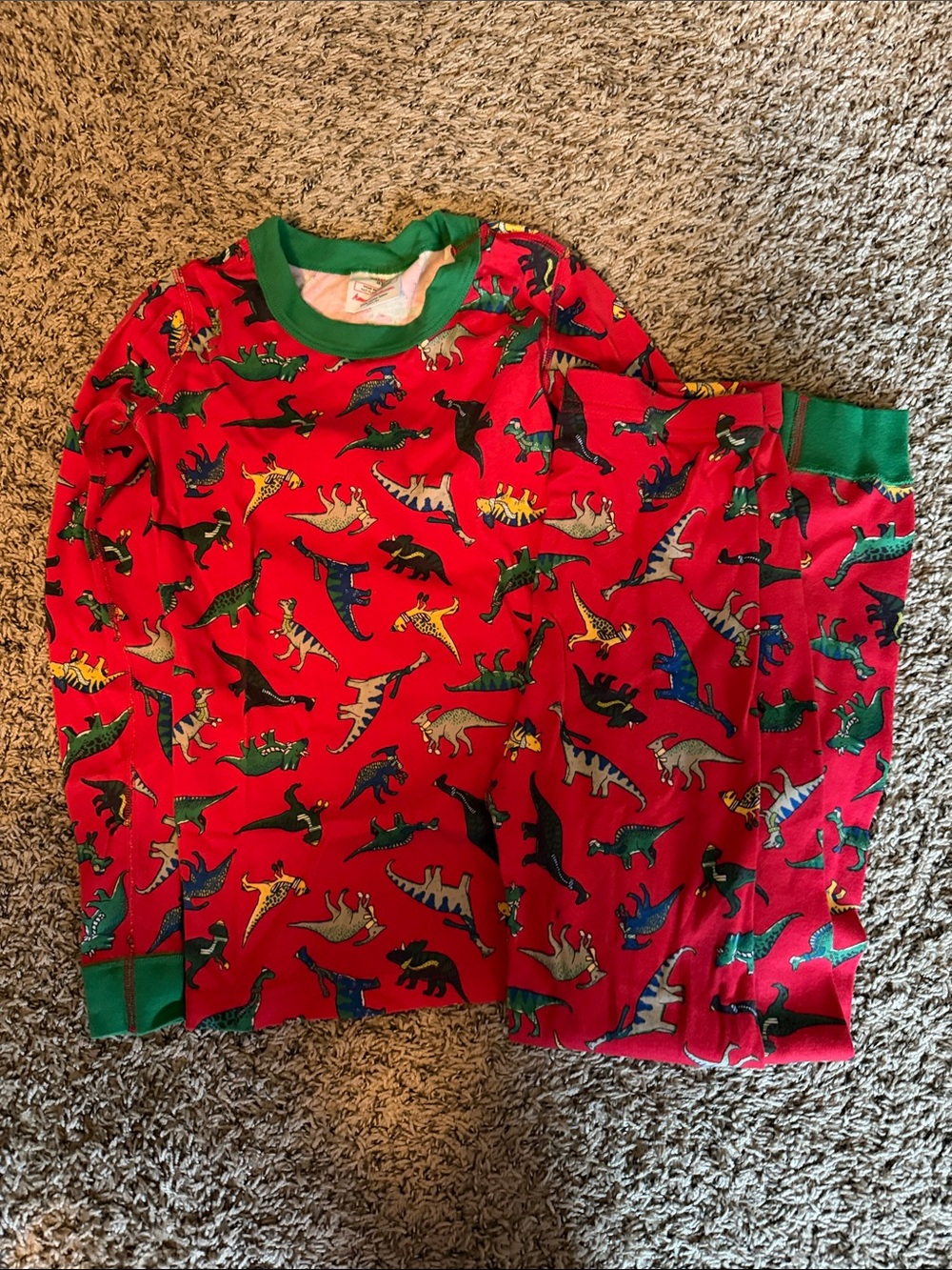 Hanna Andersson Dinosaur Pajama Set
